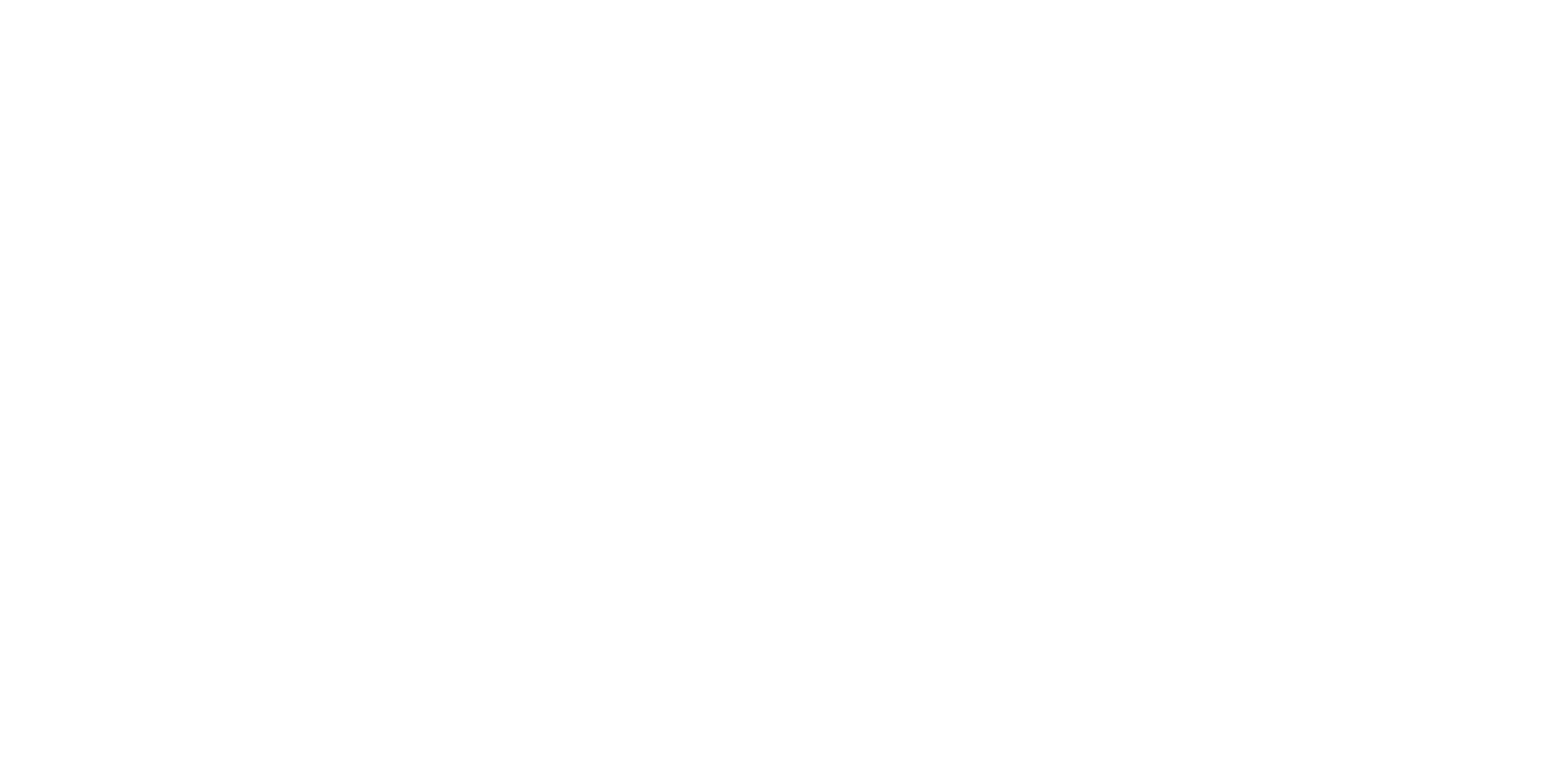 Rayyan Resources