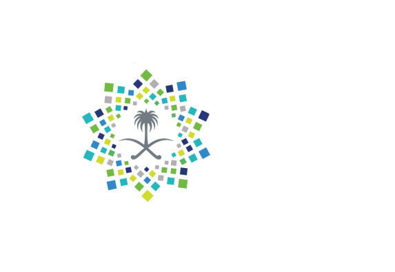 Vision 2030 Logo